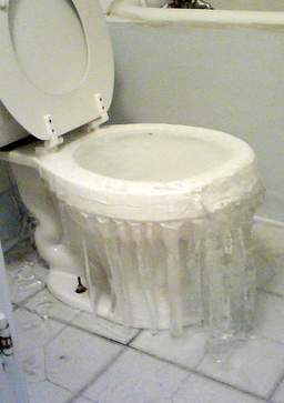 toilet overflow